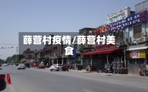 薛营村疫情/薛营村美食-第1张图片
